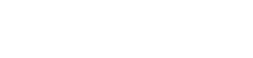 bluecat-logo-white (2)